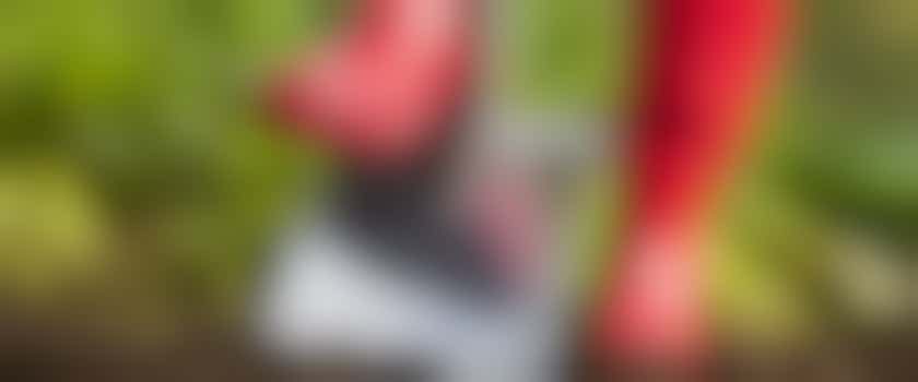 Gezocht: enthousiaste vrijwilligers voor de opbouw van Beleef Festival!