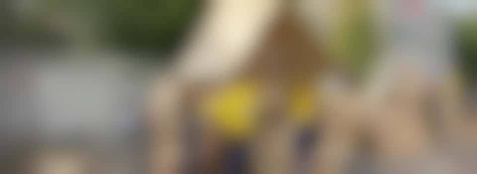 Zin om een paar jonge doe-het-zelvers een onvergetelijke dag te bezorgen?