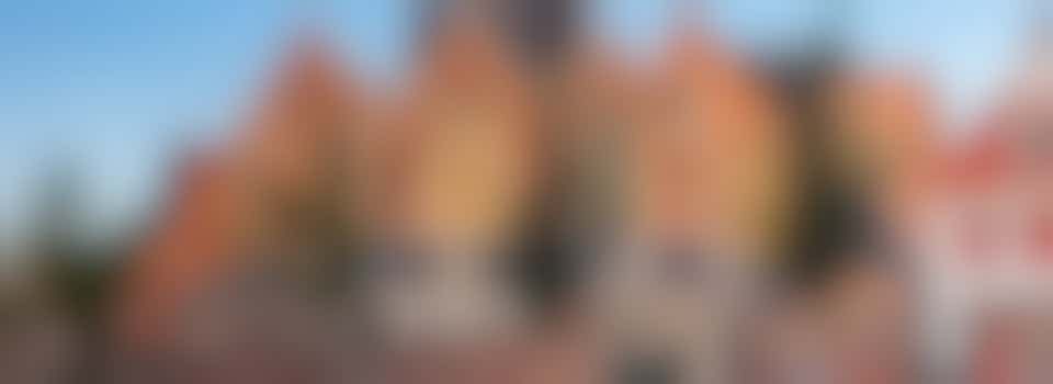 Gardening at D'Oude Kerk