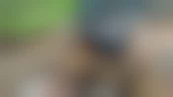 Cotswold District Lead Volunteer