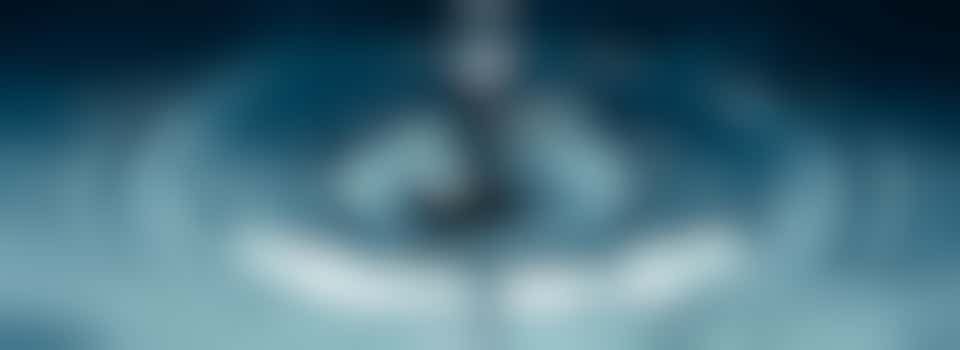 Social Media Manager