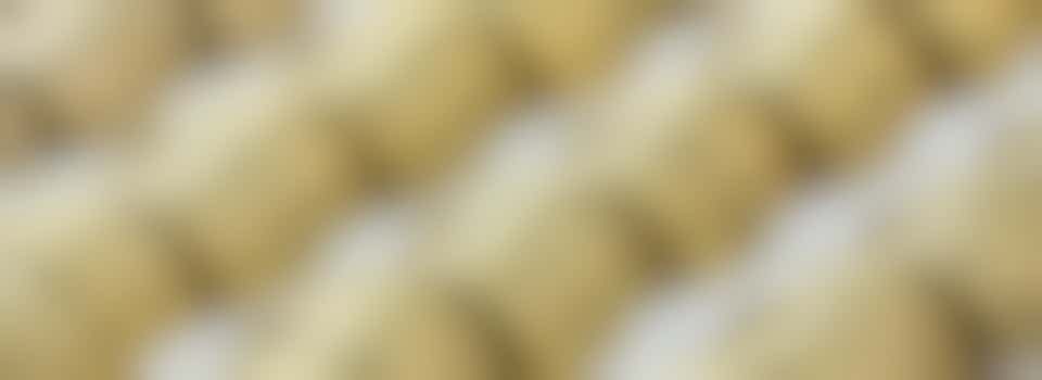 Ben jij de betrokken Penningmeester met oog voor financiën en inclusiviteit? 📈