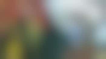 Warehouse Collections volunteers