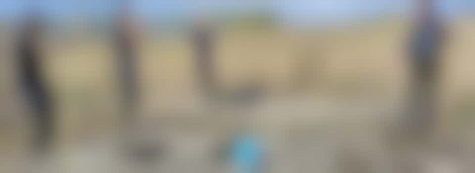 Woodham Wildlife Site