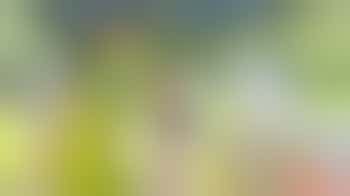 Support the Peace Orchard