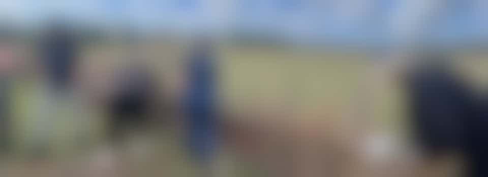 Horticultural Learning Volunteer