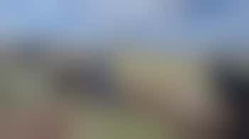 Horticultural Learning Volunteer