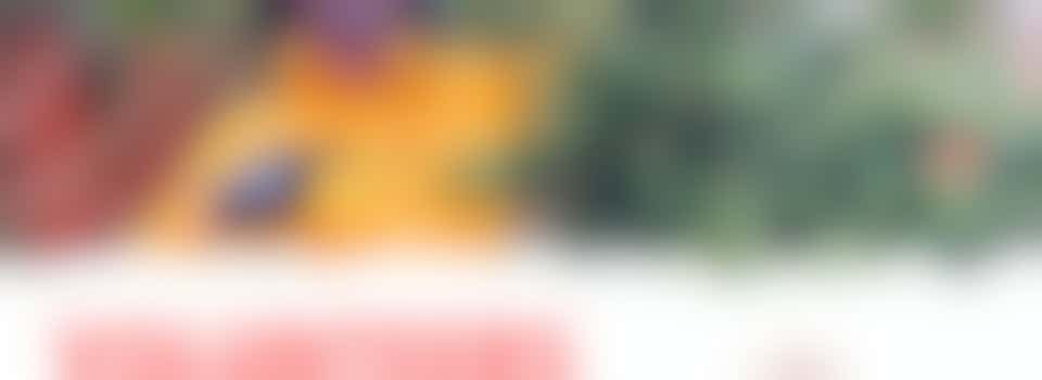 Christmas Tree Collections