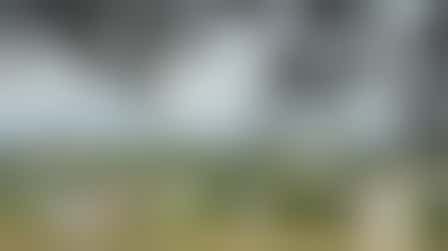 Volunteer Warden for Tom Burt's Hill