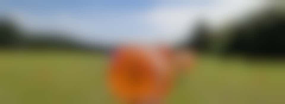 Kom helpen bij activiteiten voor jeugd en jongeren.