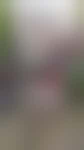 Loop jij samen met Sonja de Avondvierdaagse?