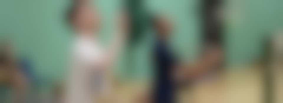 Sports and Wellbeing Group Volunteer