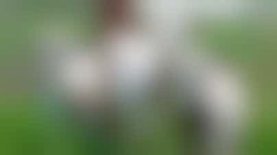 Volunteer Livestock Keeper