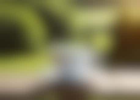 Regular Wednesday Tea Maker