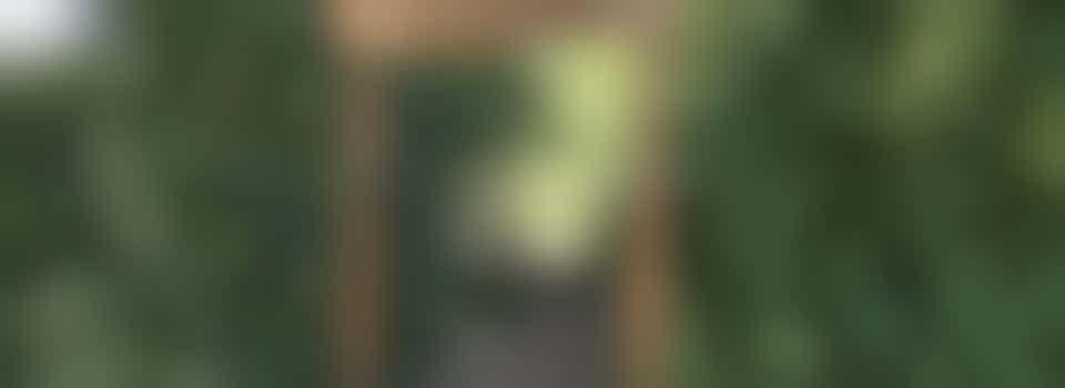 Tuin-, kluswerkzaamheden bij 't Griftbosje: lekker buiten op zaterdagochtend!