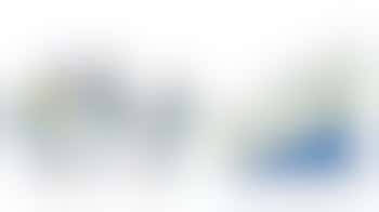 Awesome Volunteer Coordinator (possibility for job share)