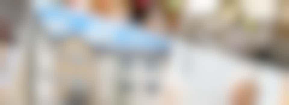 Companionship Volunteers