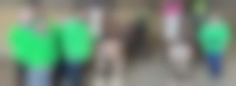 COME AND VOLUNTEER AT OUR CARRIAGE DRIVING GROUP FOR DISABLED PEOPLE