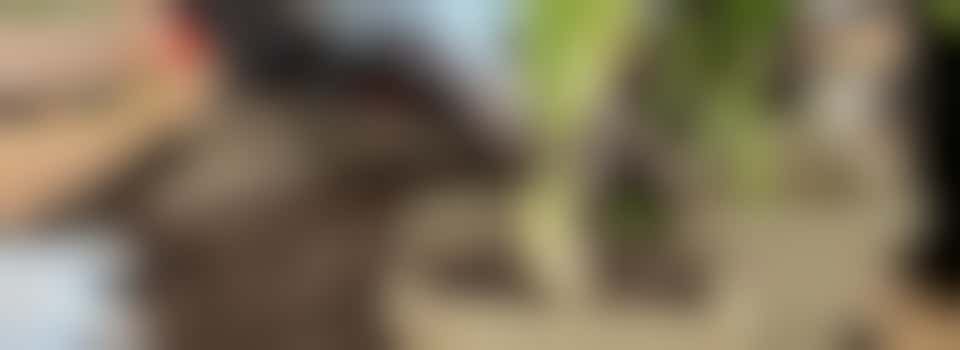 Garden Buddy Volunteers