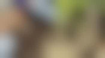 Garden Buddy Volunteers