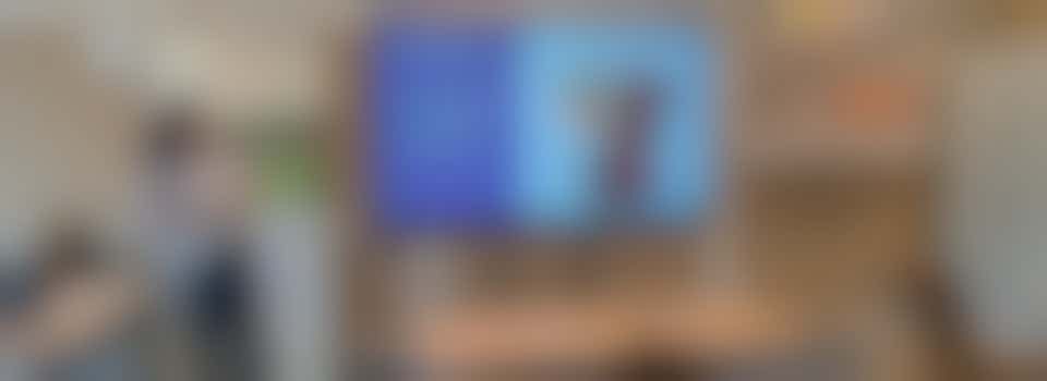 Gastdocent gastlessen