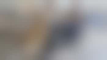 Breeding Dog Volunteer