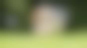 Volunteer Puppy Training - Cambridgeshire