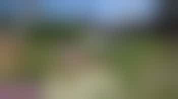 Trustee - John Clare Trust