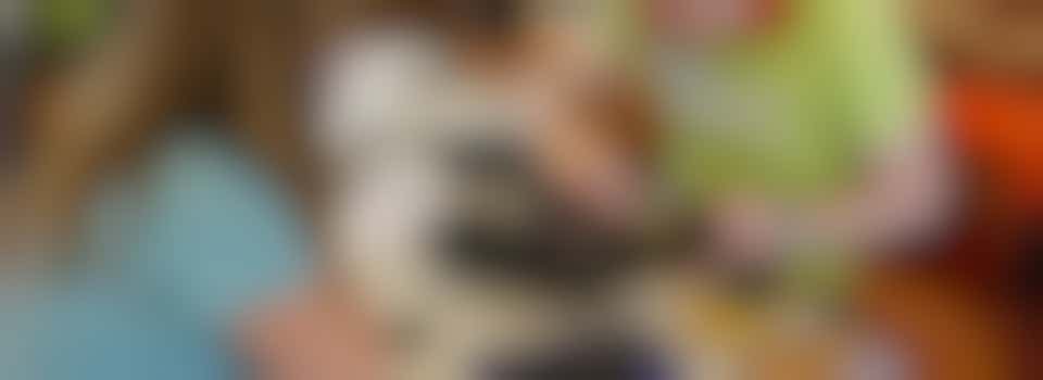 St Albans District Fixers - Repair Fair Organiser