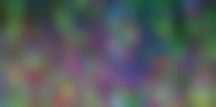 Financial administration