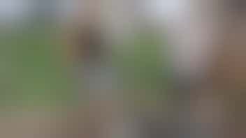 Vrijwilligers, naast een kruiwagen.