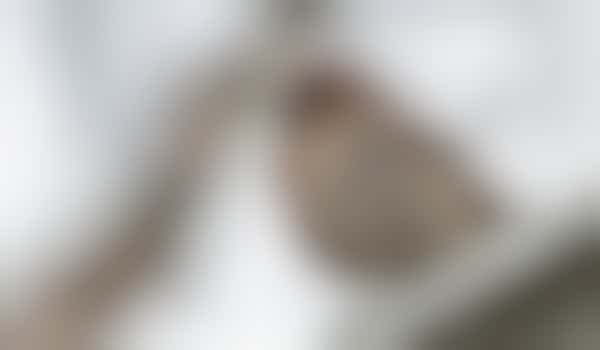 Dakgoot schoonmaken voor mevrouw