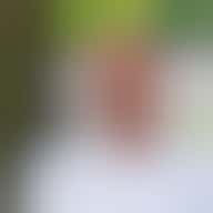 Niels van Leeningen is sinds het najaar van 2021 betrokken bij de Bestuurdersacademie en draagt bij met zijn focus en netwerk in het onderwijs, de sport en lokale media. Niels van Leeningen