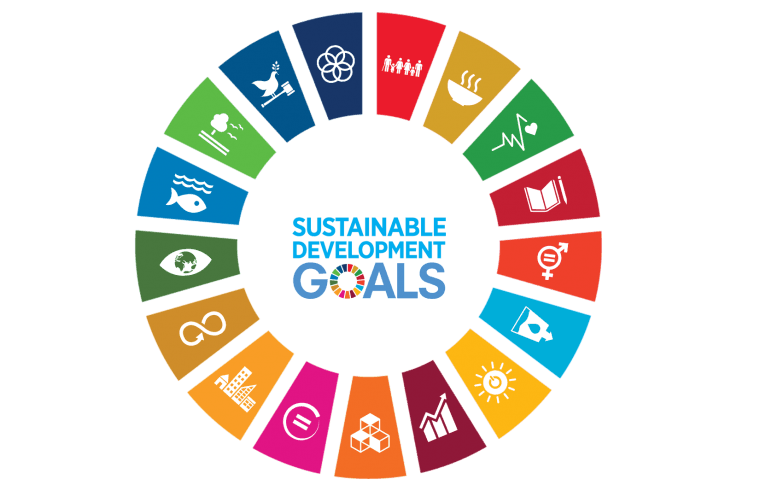 Schijf met SDG's