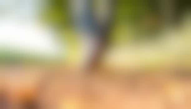 Hou je van wandelen, zingen, puzzelen? Word maatje dementie!