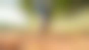 Hou je van wandelen, zingen, puzzelen? Word maatje dementie!