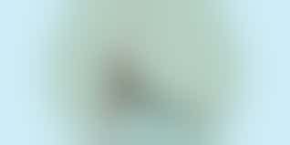 Hoe FLEXibel ben jij?