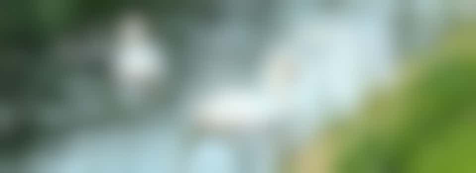 Wandel je mee naar het park of gaan we er samen op uit?