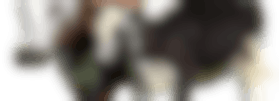 Voorzitter van de museumcommissie