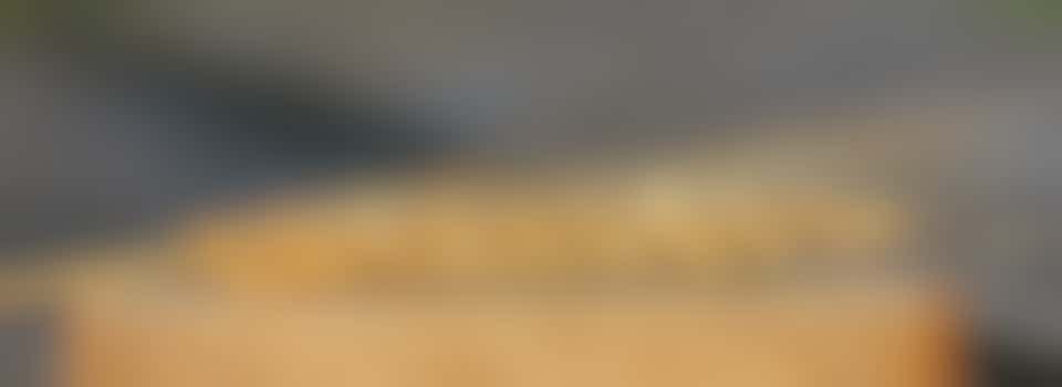 Hey verteller, we hebben jou broodnodig als rondleider in het Bakkerijmuseum