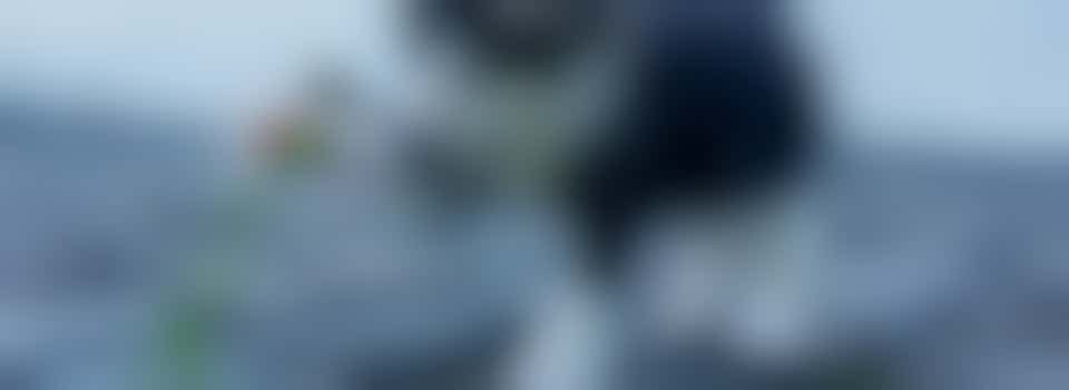 Alleen is maar alleen!