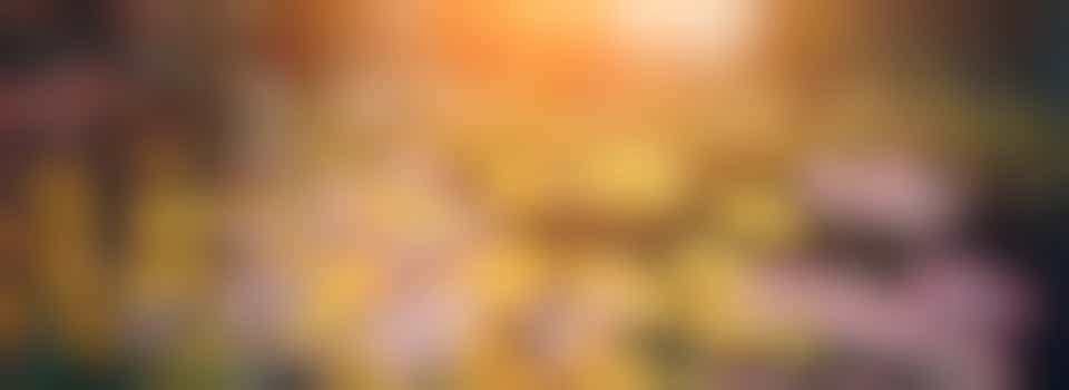 Tuinvrijwilliger gevraagd!