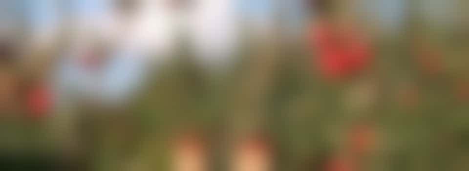 Ommetje maken in de fruittuin!