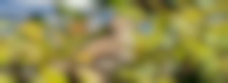 Houd jij van werken in de buitenlucht?