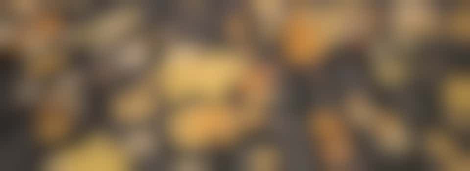 Heb jij 2 rechterhanden die iets in de tuin willen doen?