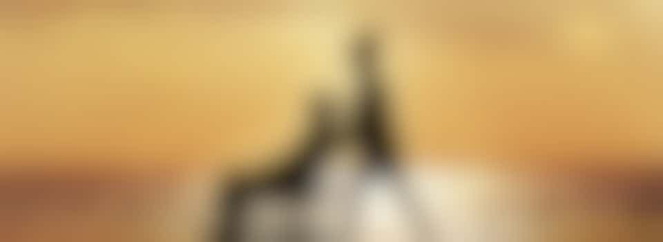 Extra handen gezocht voor mantelzorger!