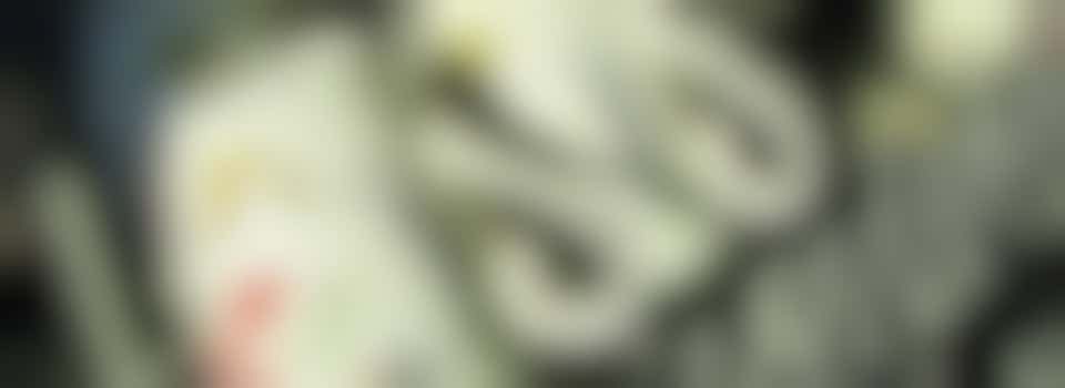 Sterke mannen gezocht!