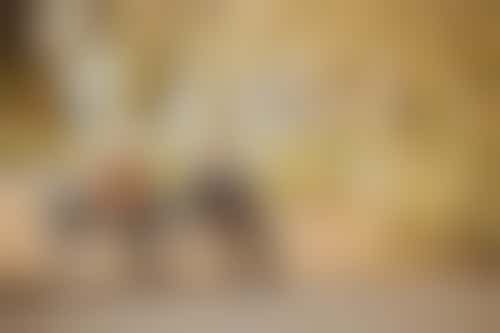 Maatje voor meneer 85 jaar