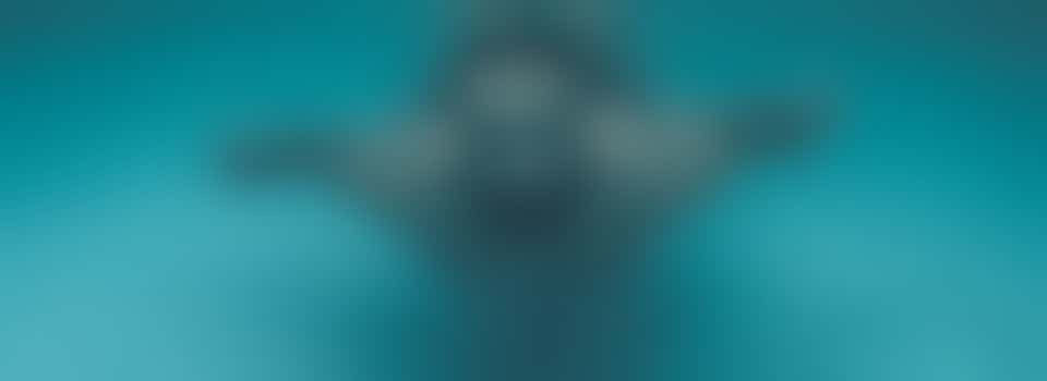 Wie gaat er mee zwemmen bij de Waterhoorn?