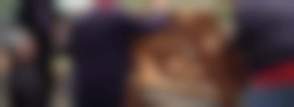 Coördinator Technische Dienst